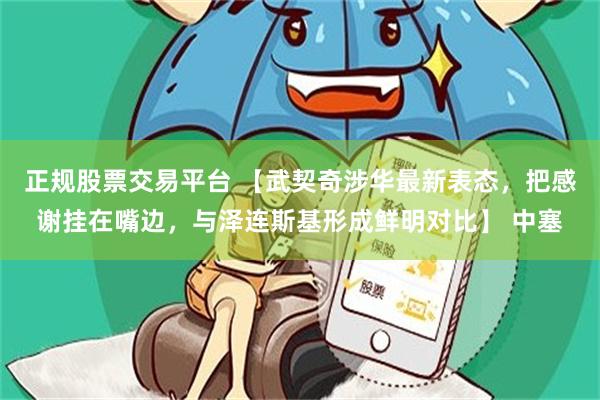 正规股票交易平台 【武契奇涉华最新表态，把感谢挂在嘴边，与泽连斯基形成鲜明对比】 中塞