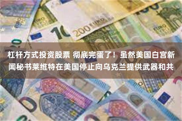 杠杆方式投资股票 彻底完蛋了！虽然美国白宫新闻秘书莱维特在美国停止向乌克兰提供武器和共