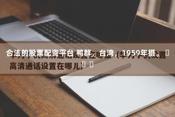 合法的股票配资平台 鸭群，台湾，1959年摄。 ​​​