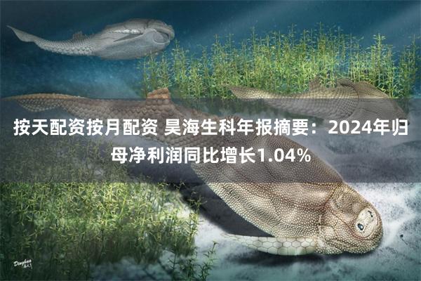 按天配资按月配资 昊海生科年报摘要：2024年归母净利润同比增长1.04%