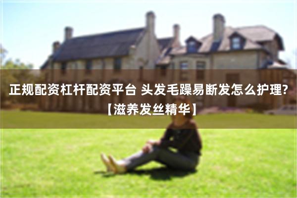 正规配资杠杆配资平台 头发毛躁易断发怎么护理?【滋养发丝精华】