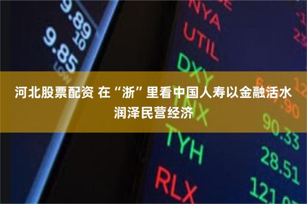 河北股票配资 在“浙”里看中国人寿以金融活水润泽民营经济