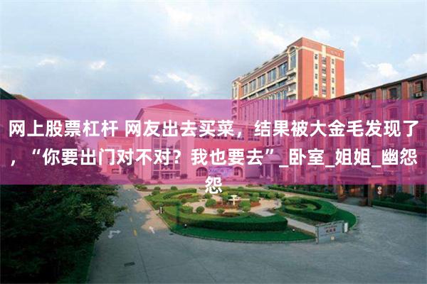 网上股票杠杆 网友出去买菜，结果被大金毛发现了，“你要出门对不对？我也要去”_卧室_姐姐_幽怨