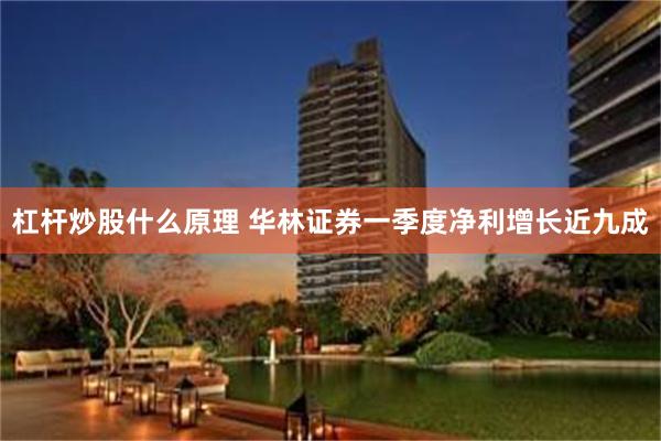 杠杆炒股什么原理 华林证券一季度净利增长近九成