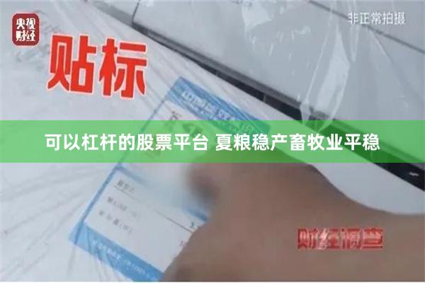 可以杠杆的股票平台 夏粮稳产畜牧业平稳