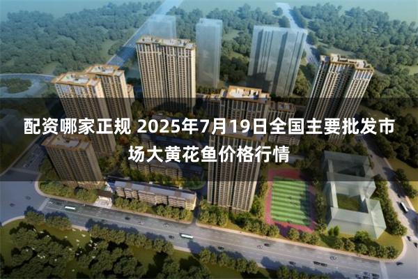 配资哪家正规 2025年7月19日全国主要批发市场大黄花鱼价格行情