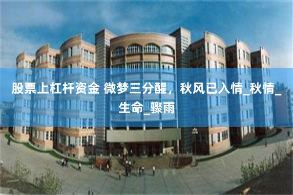 股票上杠杆资金 微梦三分醒，秋风已入情_秋情_生命_骤雨