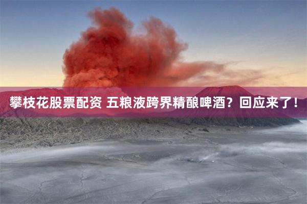 攀枝花股票配资 五粮液跨界精酿啤酒？回应来了！