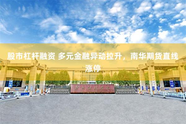 股市杠杆融资 多元金融异动拉升，南华期货直线涨停