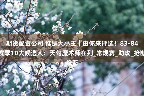 期货配资公司 谁是大小王｜由你来评选！83-84赛季10大候选人：天勾魔术师在列_常规赛_助攻_抢断