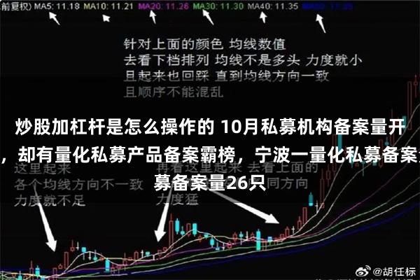 炒股加杠杆是怎么操作的 10月私募机构备案量开局不顺，却有量化私募产品备案霸榜，宁波一量化私募备案量26只