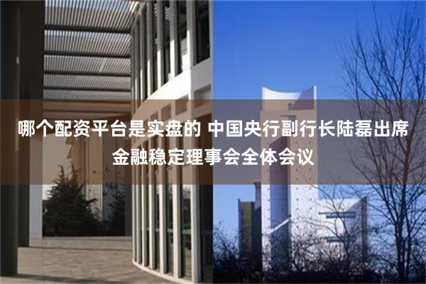 哪个配资平台是实盘的 中国央行副行长陆磊出席金融稳定理事会全体会议