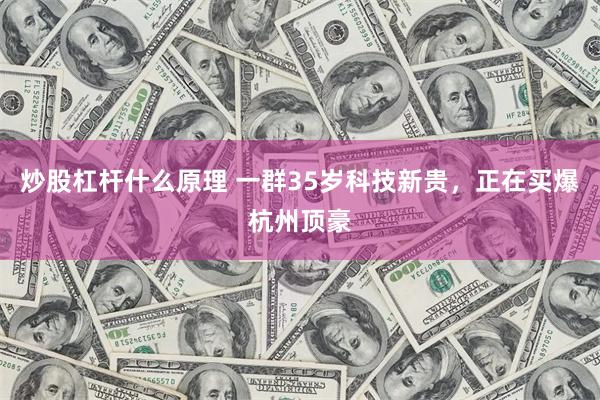 炒股杠杆什么原理 一群35岁科技新贵，正在买爆杭州顶豪