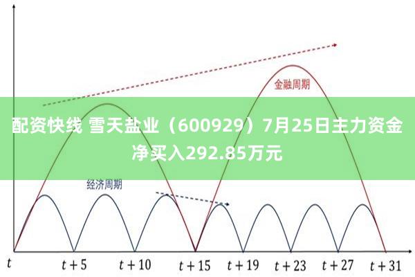 配资快线 雪天盐业（600929）7月25日主力资金净买入292.85万元
