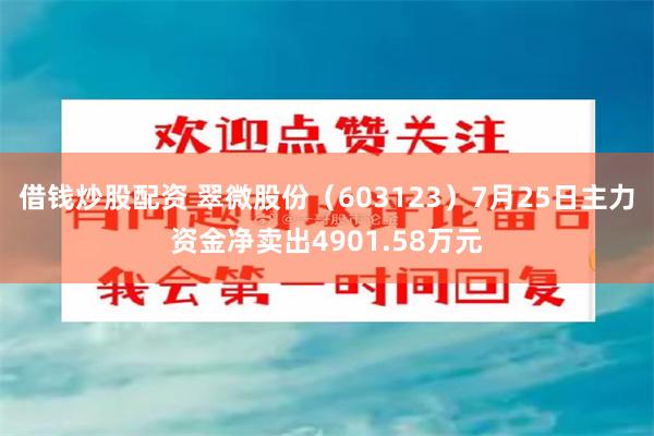 借钱炒股配资 翠微股份（603123）7月25日主力资金净卖出4901.58万元