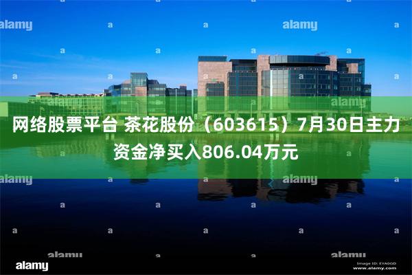 网络股票平台 茶花股份（603615）7月30日主力资金净买入806.04万元