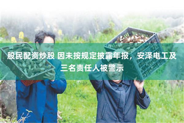 股民配资炒股 因未按规定披露年报，安泽电工及三名责任人被警示