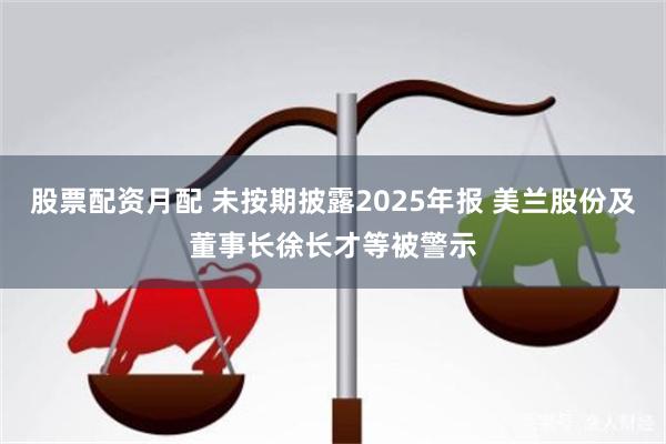 股票配资月配 未按期披露2025年报 美兰股份及董事长徐长才等被警示