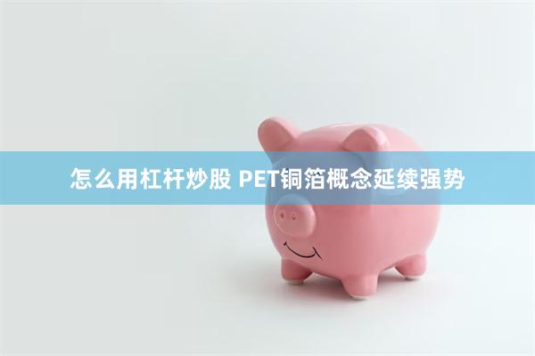 怎么用杠杆炒股 PET铜箔概念延续强势