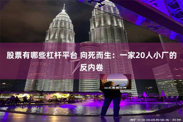 股票有哪些杠杆平台 向死而生:一家20人小厂的反内卷
