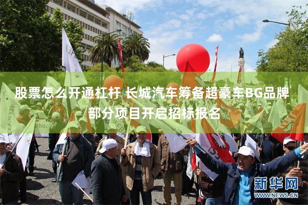 股票怎么开通杠杆 长城汽车筹备超豪车BG品牌 部分项目开启招标报名