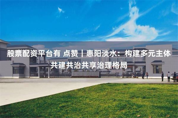 股票配资平台有 点赞｜惠阳淡水：构建多元主体共建共治共享治理格局