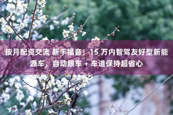 按月配资交流 新手福音！15 万内智驾友好型新能源车，自动跟车 + 车道保持超省心