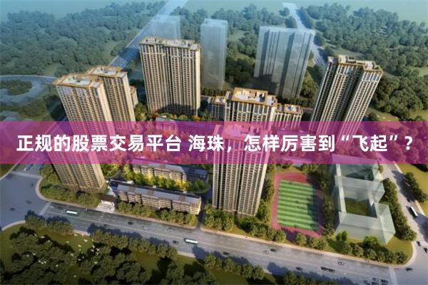 正规的股票交易平台 海珠,怎样厉害到“飞起”?