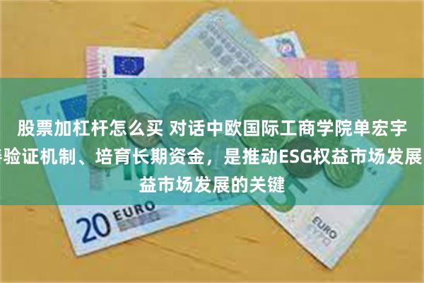 股票加杠杆怎么买 对话中欧国际工商学院单宏宇：完善验证机制、培育长期资金，是推动ESG权益市场发展的关键