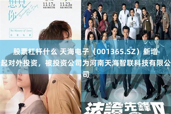 股票杠杆什么 天海电子（001365.SZ）新增一起对外投资，被投资公司为河南天海智联科技有限公司