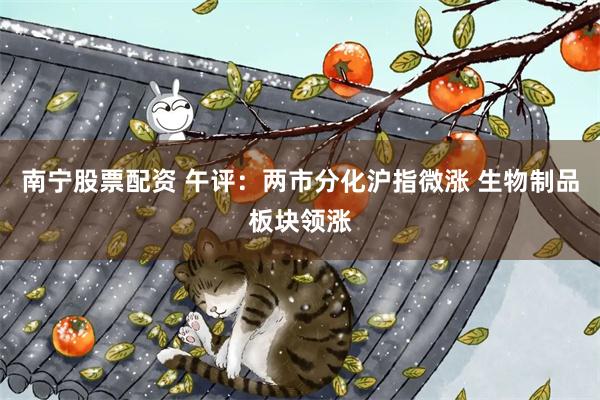 南宁股票配资 午评：两市分化沪指微涨 生物制品板块领涨