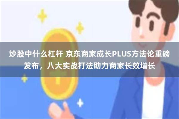 炒股中什么杠杆 京东商家成长PLUS方法论重磅发布，八大实战打法助力商家长效增长