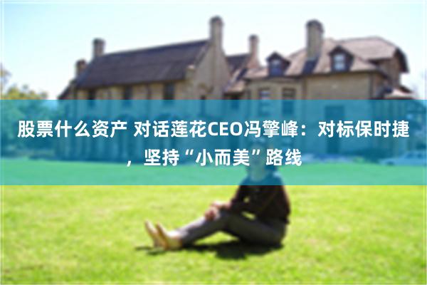 股票什么资产 对话莲花CEO冯擎峰：对标保时捷，坚持“小而美”路线
