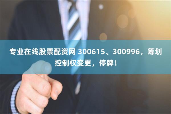 专业在线股票配资网 300615、300996，筹划控制权变更，停牌！