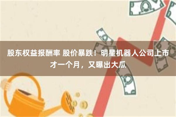 股东权益报酬率 股价暴跌!明星机器人公司上市才一个月,又曝出大瓜