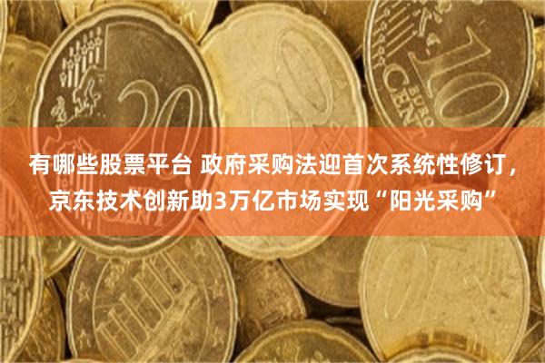有哪些股票平台 政府采购法迎首次系统性修订，京东技术创新助3万亿市场实现“阳光采购”