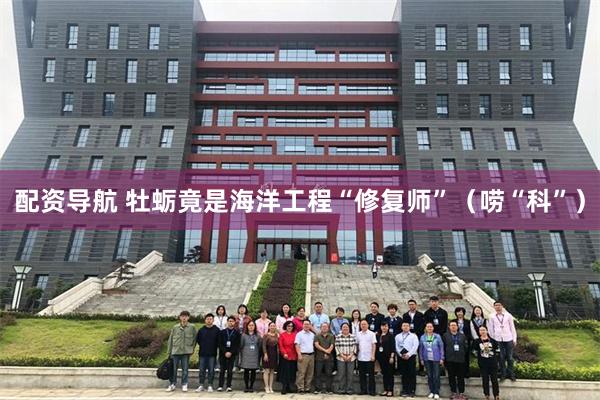 配资导航 牡蛎竟是海洋工程“修复师”(唠“科”)