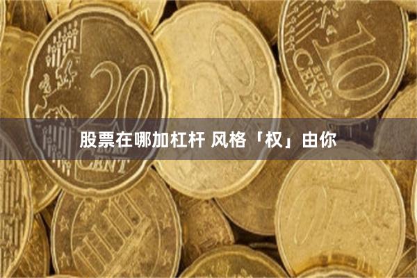 股票在哪加杠杆 风格「权」由你