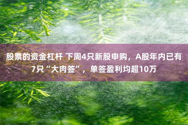 股票的资金杠杆 下周4只新股申购，A股年内已有7只“大肉签”，单签盈利均超10万