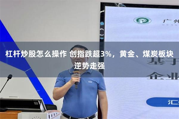 杠杆炒股怎么操作 创指跌超3%，黄金、煤炭板块逆势走强