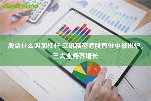 股票什么叫加杠杆 立讯精密港股首份中报出炉,三大业务齐增长