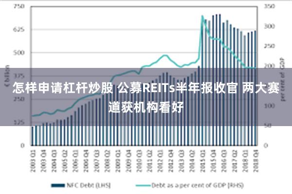 怎样申请杠杆炒股 公募REITs半年报收官 两大赛道获机构看好