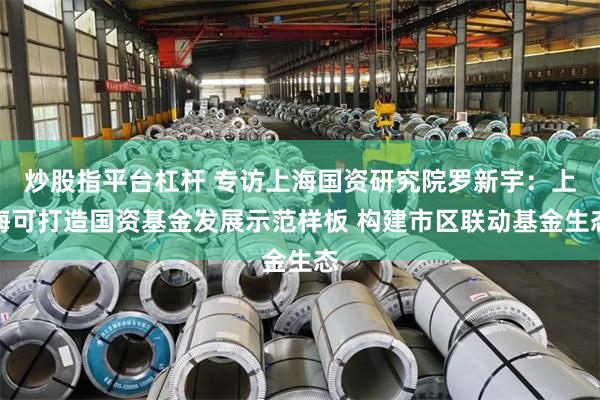 炒股指平台杠杆 专访上海国资研究院罗新宇：上海可打造国资基金发展示范样板 构建市区联动基金生态