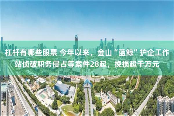 杠杆有哪些股票 今年以来，金山“蓝鲸”护企工作站侦破职务侵占等案件28起，挽损超千万元