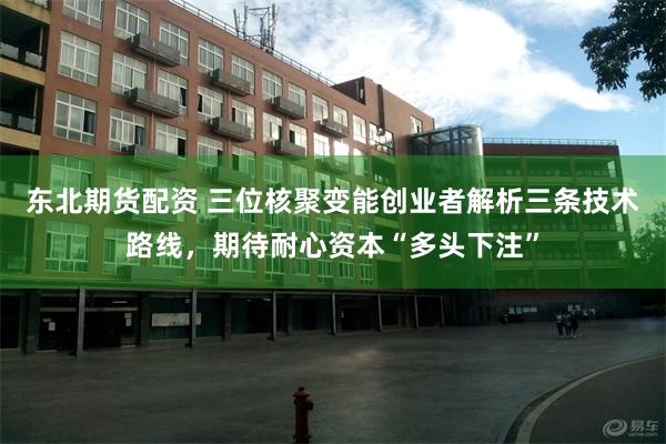 东北期货配资 三位核聚变能创业者解析三条技术路线，期待耐心资本“多头下注”