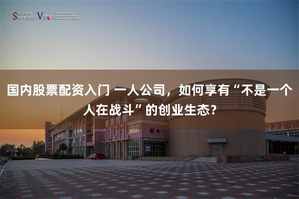 国内股票配资入门 一人公司，如何享有“不是一个人在战斗”的创业生态？
