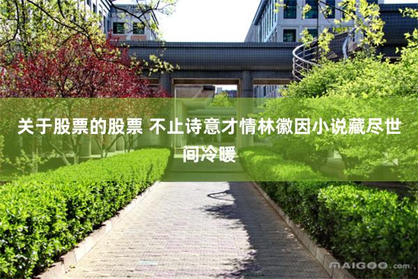 关于股票的股票 不止诗意才情　林徽因小说藏尽世间冷暖