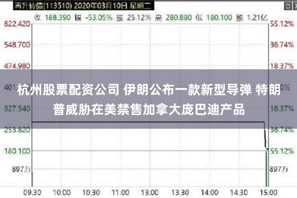 杭州股票配资公司 伊朗公布一款新型导弹 特朗普威胁在美禁售加拿大庞巴迪产品