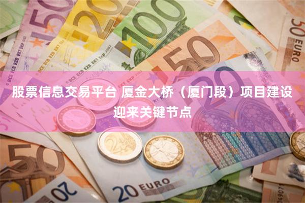 股票信息交易平台 厦金大桥（厦门段）项目建设迎来关键节点