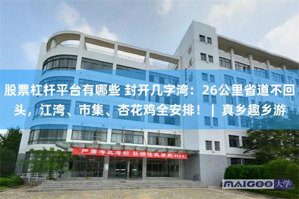 股票杠杆平台有哪些 封开几字湾:26公里省道不回头,江湾、市集、杏花鸡全安排! | 真乡趣乡游